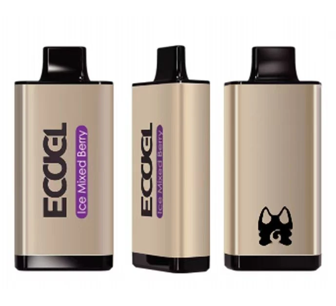 Factory Price Disposable Electronic Cigarette Disposable Vape 10000 Puffs -Wholesale Vapor Supply